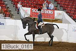 13buck_0161 proof