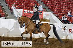 13buck_0163 proof