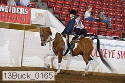 13buck_0165 proof