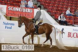 13buck_0166 proof