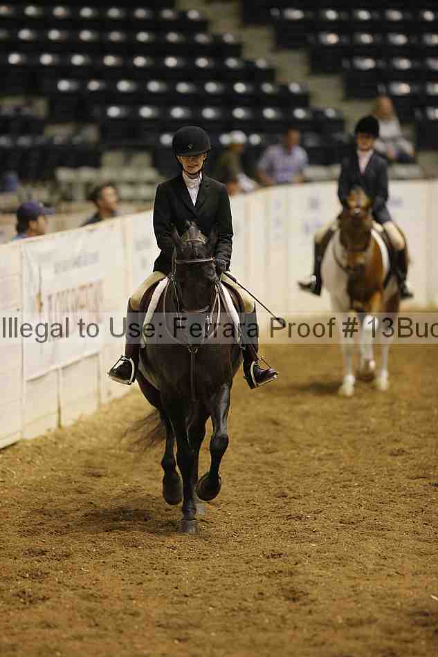 Proof 13buck_0167