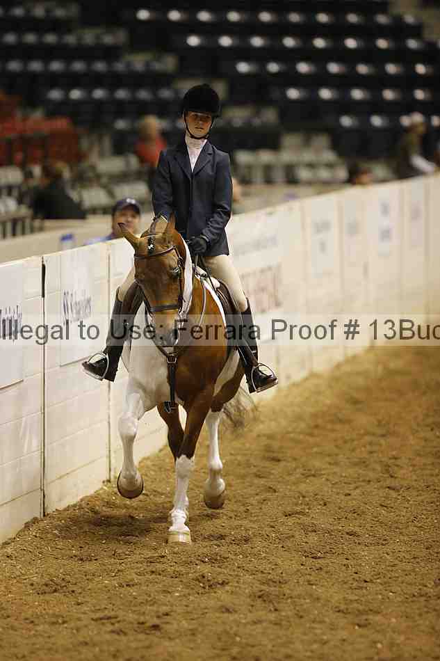 Proof 13buck_0169