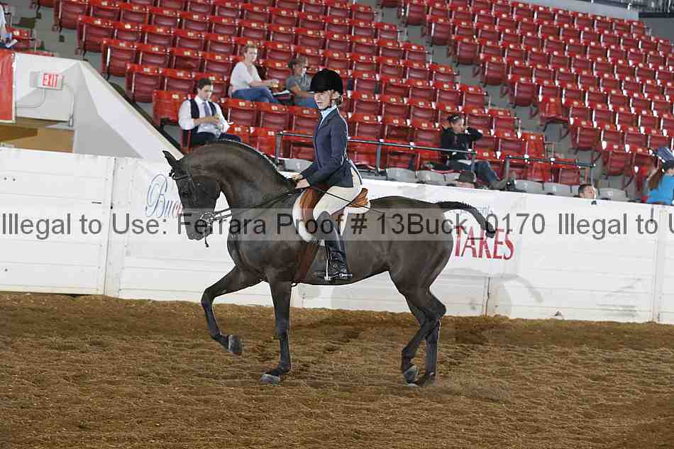 Proof 13buck_0170