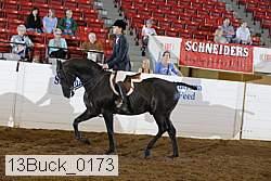 13buck_0173 proof