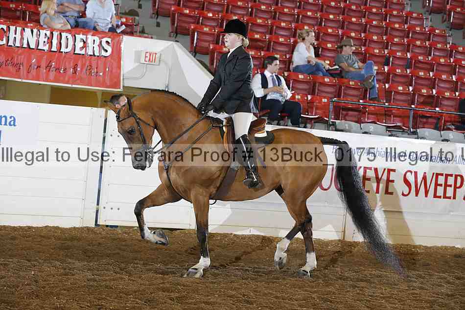 Proof 13buck_0175