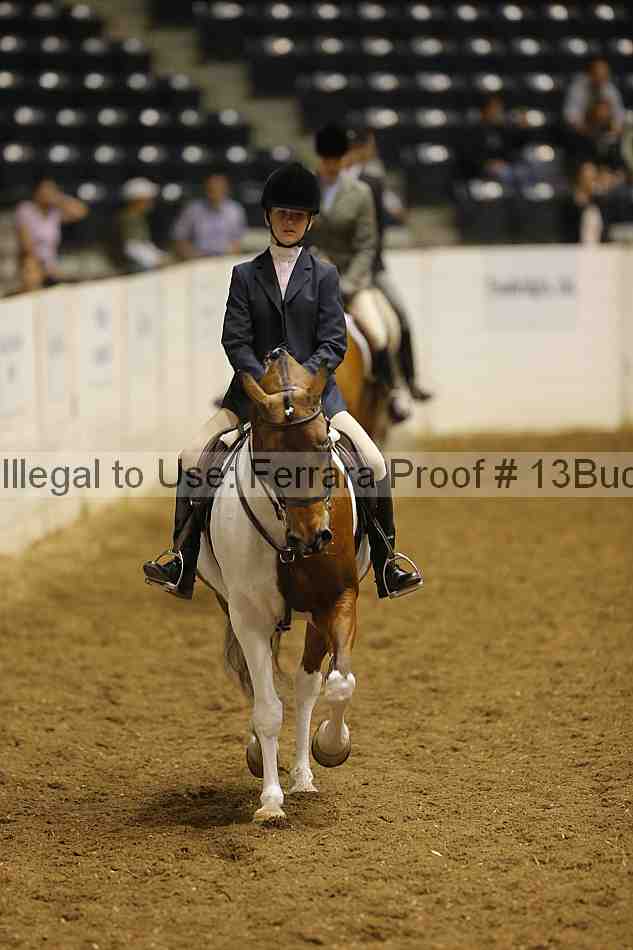 Proof 13buck_0181