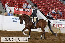 13buck_0182 proof