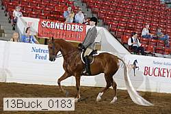 13buck_0183 proof