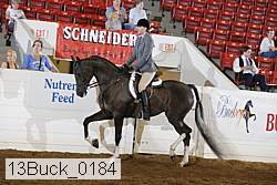13buck_0184 proof