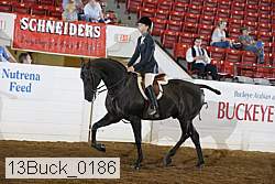 13buck_0186 proof