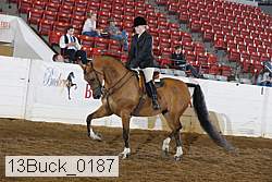 13buck_0187 proof