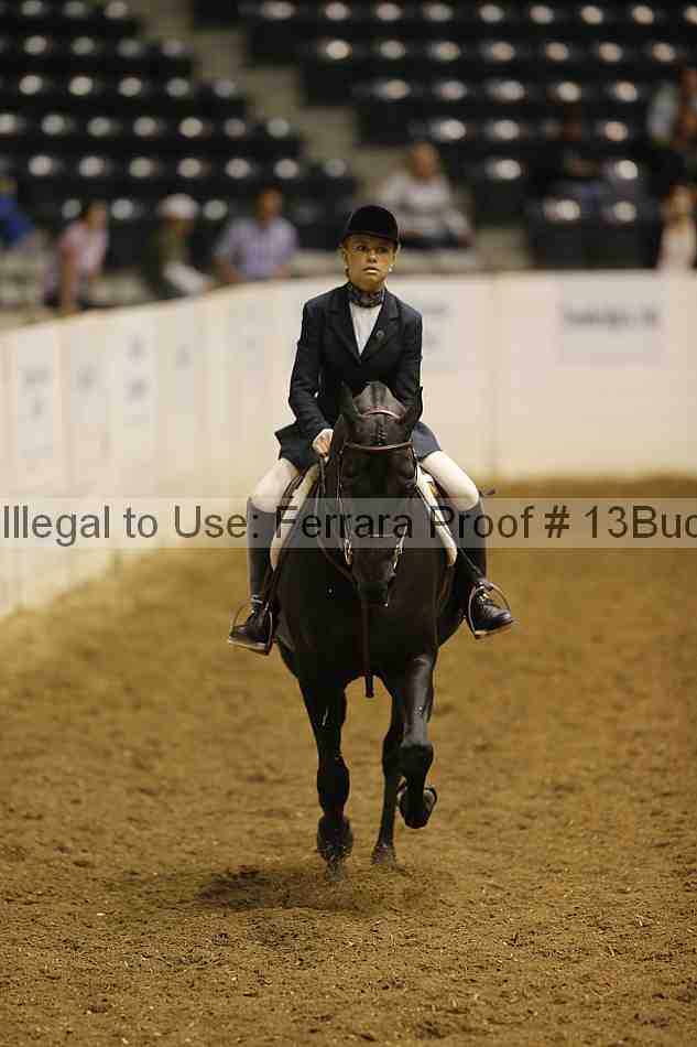 Proof 13buck_0189