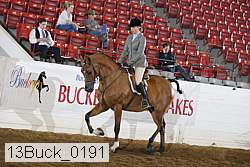 13buck_0191 proof