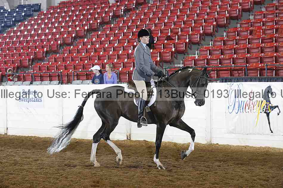 Proof 13buck_0193