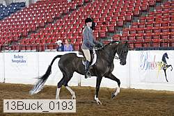 13buck_0193 proof