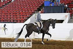 13buck_0194 proof