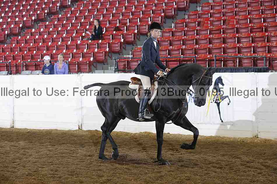 Proof 13buck_0195