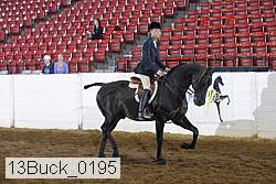 13buck_0195 proof