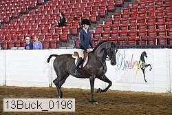 13buck_0196 proof