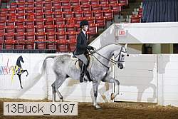 13buck_0197 proof