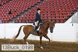 13buck_0198 proof