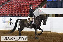 13buck_0199 proof