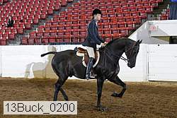 13buck_0200 proof