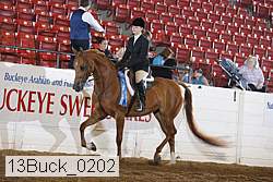 13buck_0202 proof