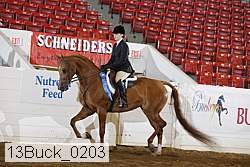 13buck_0203 proof
