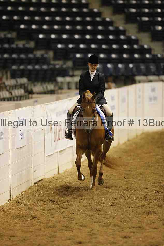 Proof 13buck_0204