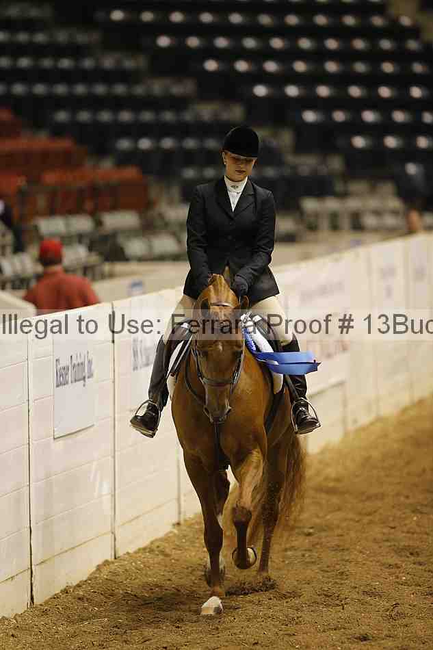 Proof 13buck_0205