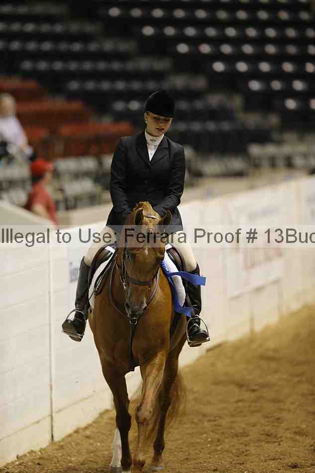 Proof 13buck_0206