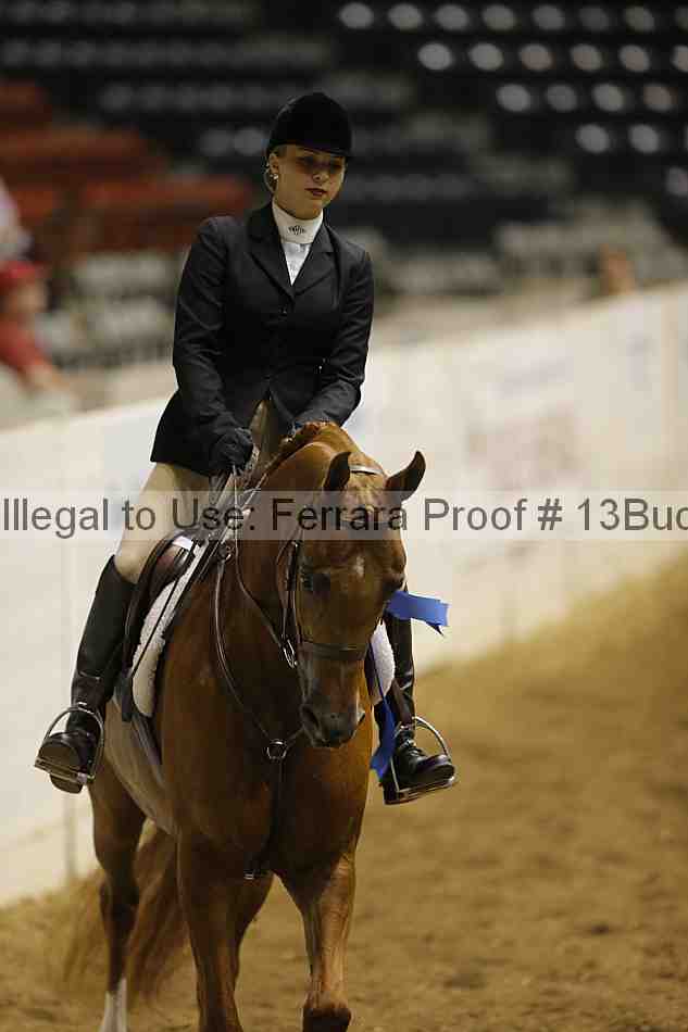 Proof 13buck_0207