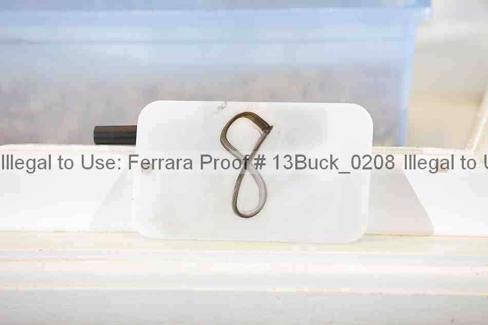 Proof 13buck_0208