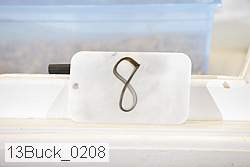13buck_0208 proof