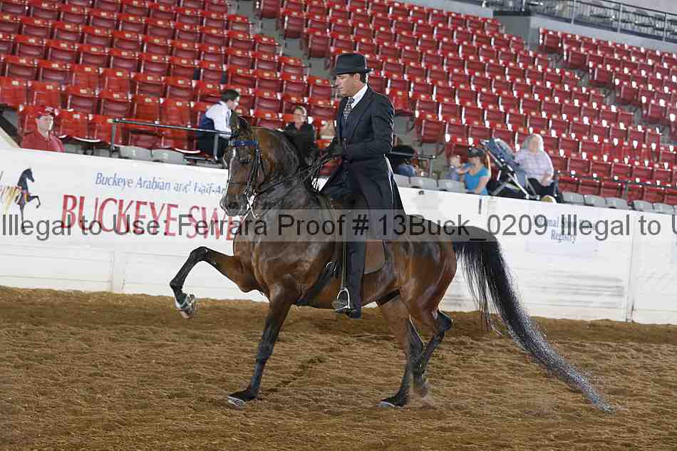 Proof 13buck_0209