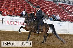 13buck_0209 proof
