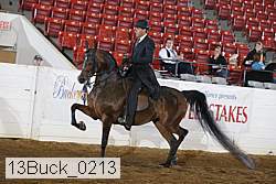 13buck_0213 proof