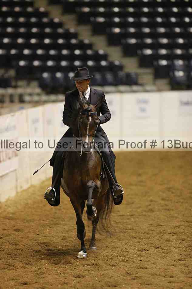 Proof 13buck_0215
