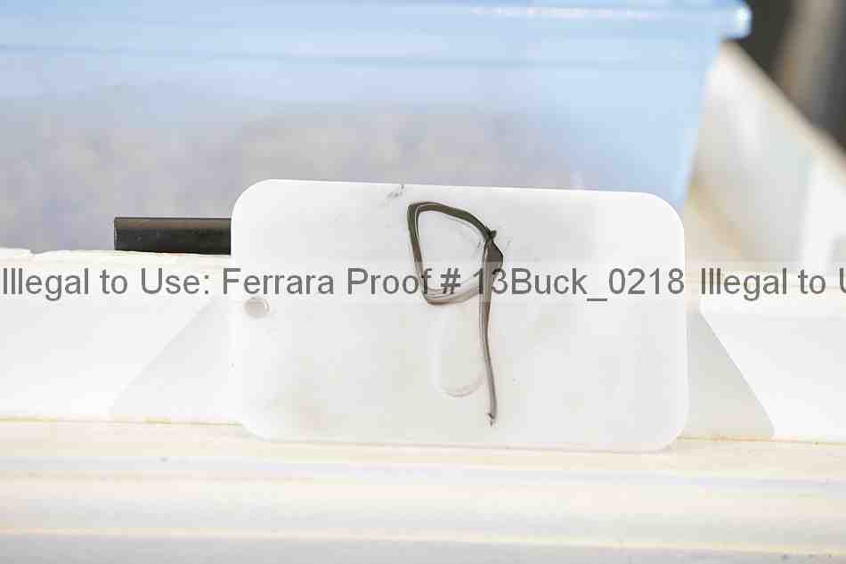 Proof 13buck_0218