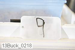 13buck_0218 proof