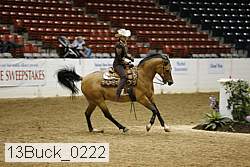 13buck_0222 proof