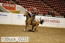 13buck_0223 proof