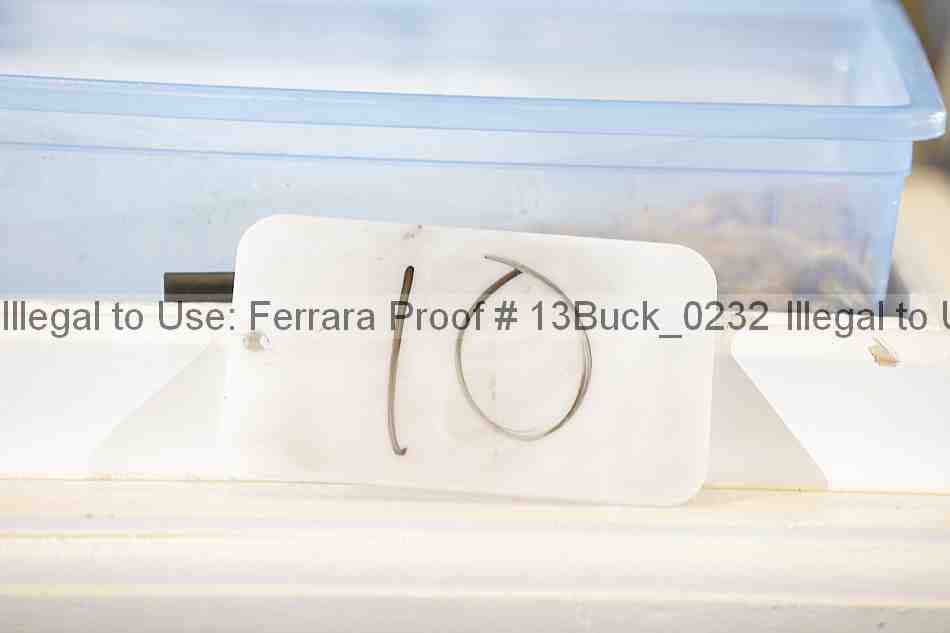 Proof 13buck_0232