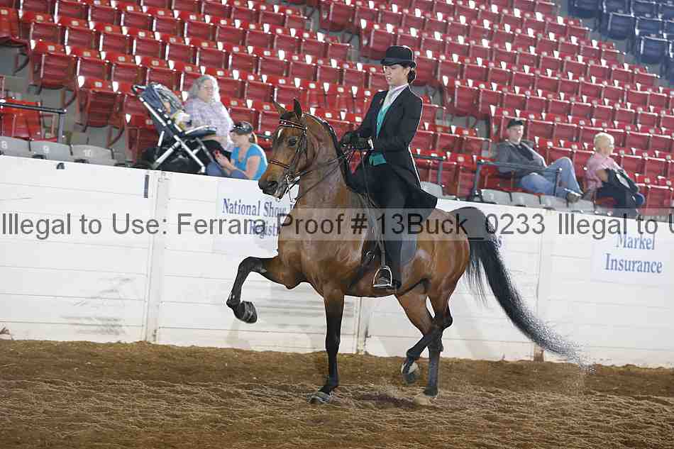 Proof 13buck_0233