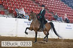 13buck_0233 proof