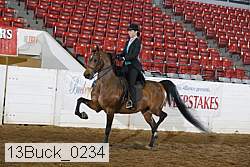 13buck_0234 proof