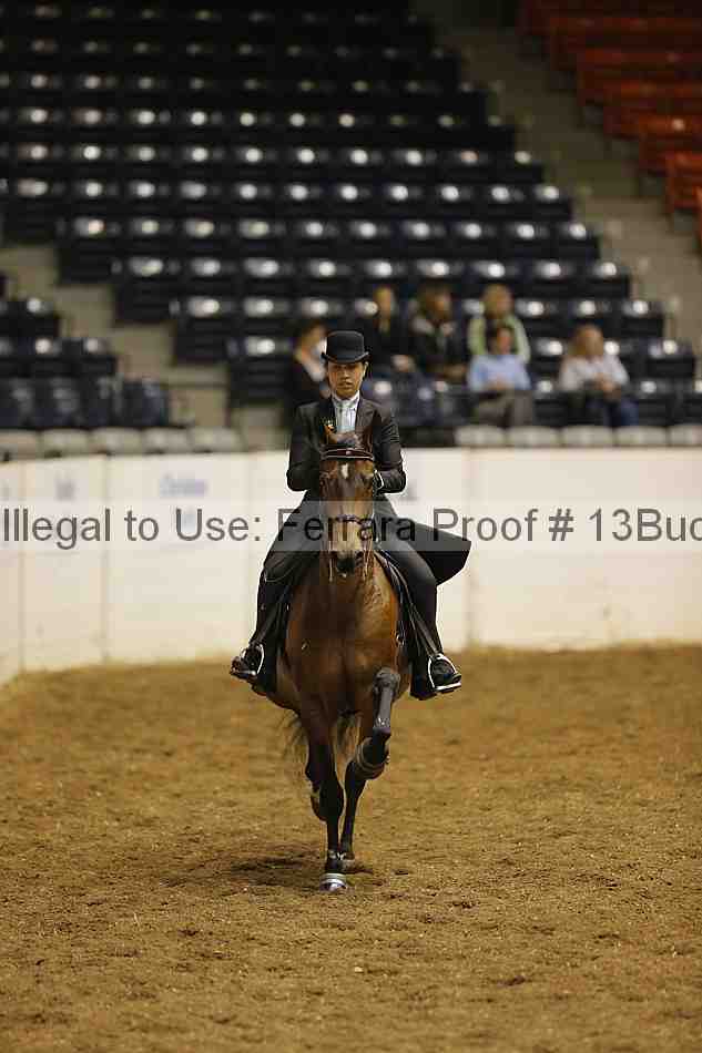 Proof 13buck_0235