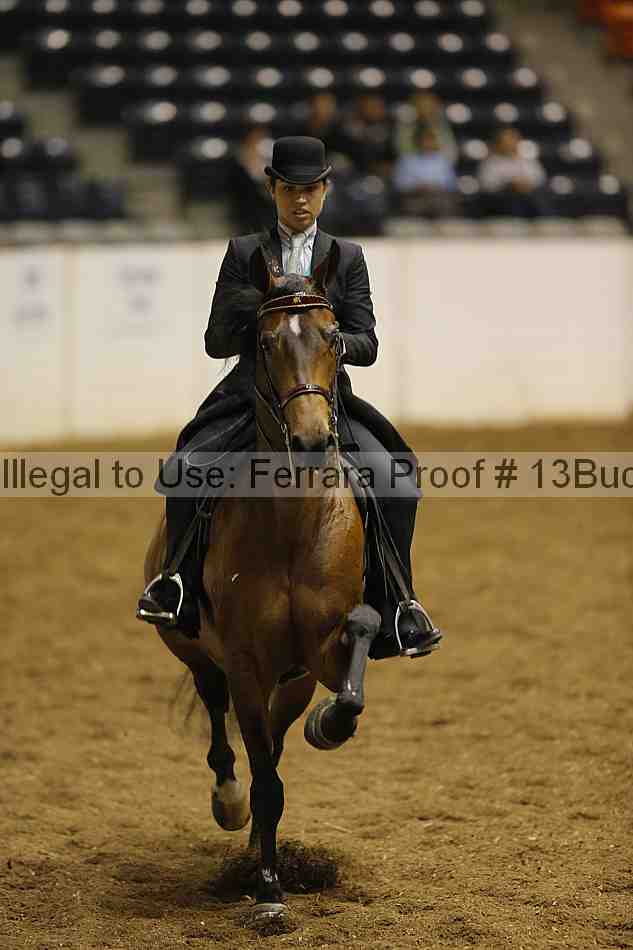 Proof 13buck_0236