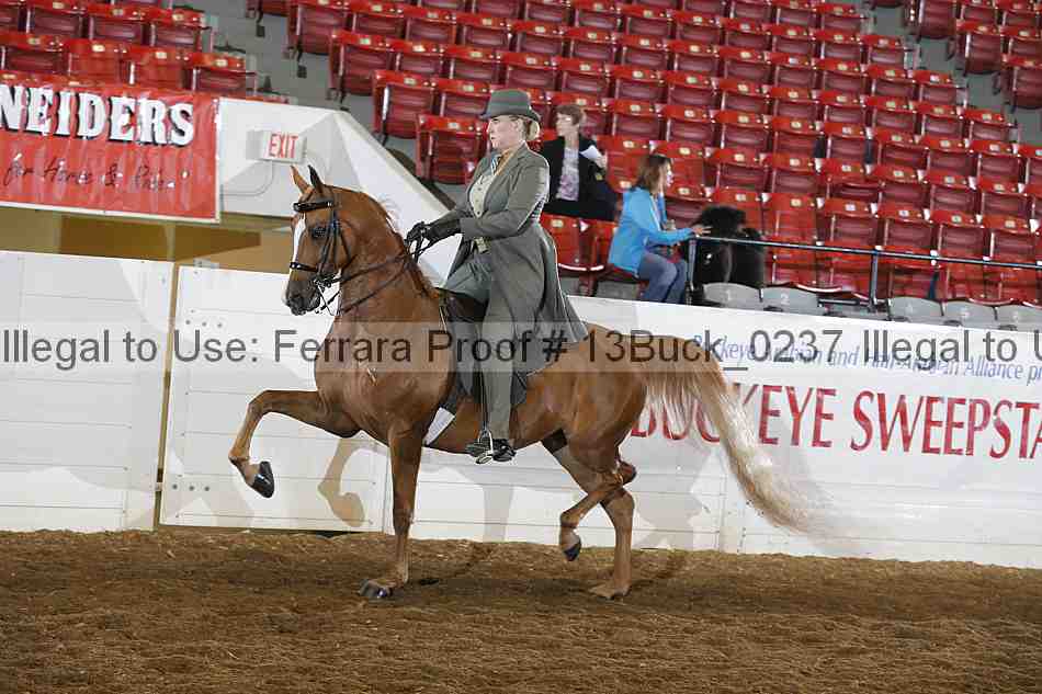 Proof 13buck_0237